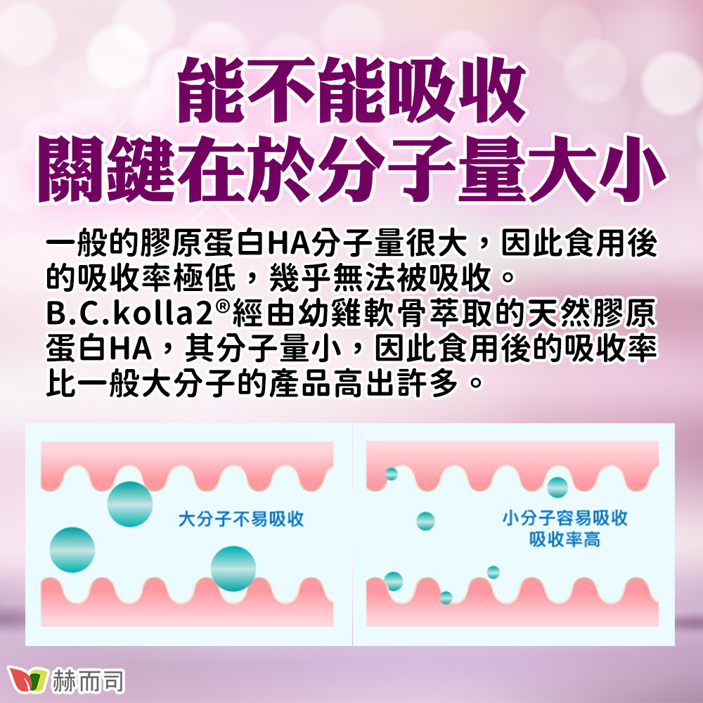 口服二型膠原蛋白玻尿酸推薦 能不能吸收？關鍵在於分子量大小！一般的膠原蛋白HA分子量很大，因此食用後的吸收率極低，幾乎無法被吸收。B.C.kolla2®經由幼雞軟骨萃取的天然膠原蛋白HA，其分子量小，因此食用後的吸收率比一般大分子的產品高出許多。