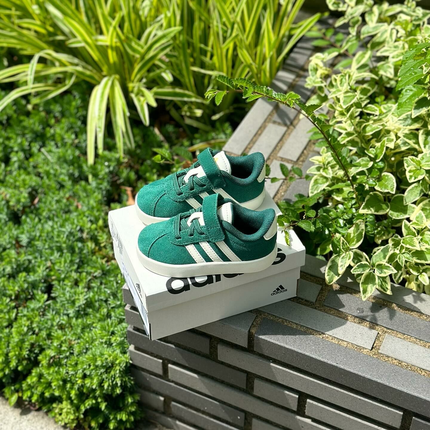 Adidas VL Court 3.0 EL1 孔雀綠 白綠 魔鬼氈 小童 童鞋 德訓鞋 JH5292