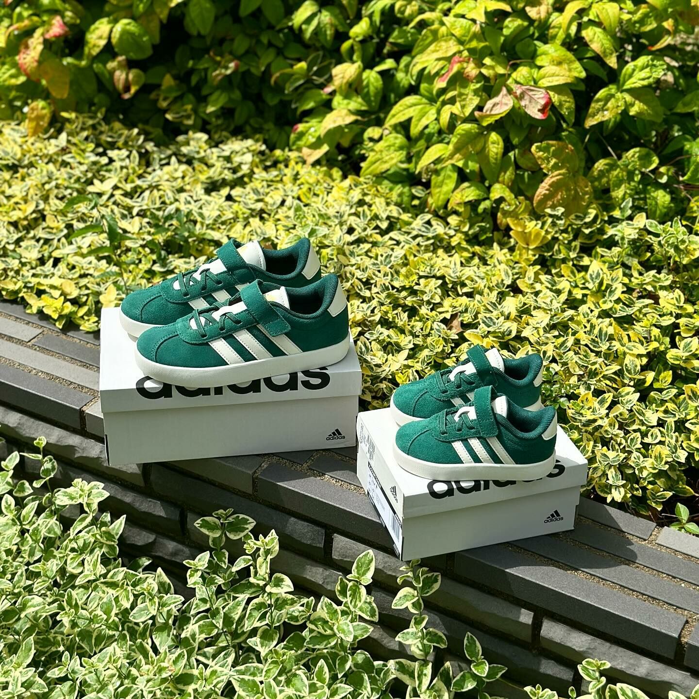 Adidas VL Court 3.0 EL1 C 森林綠 白綠 魔鬼氈 中童 童鞋 德訓鞋 JH9786