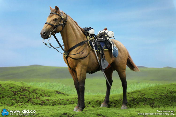 DID: 1/6 南北戰爭棕色戰馬（站立）