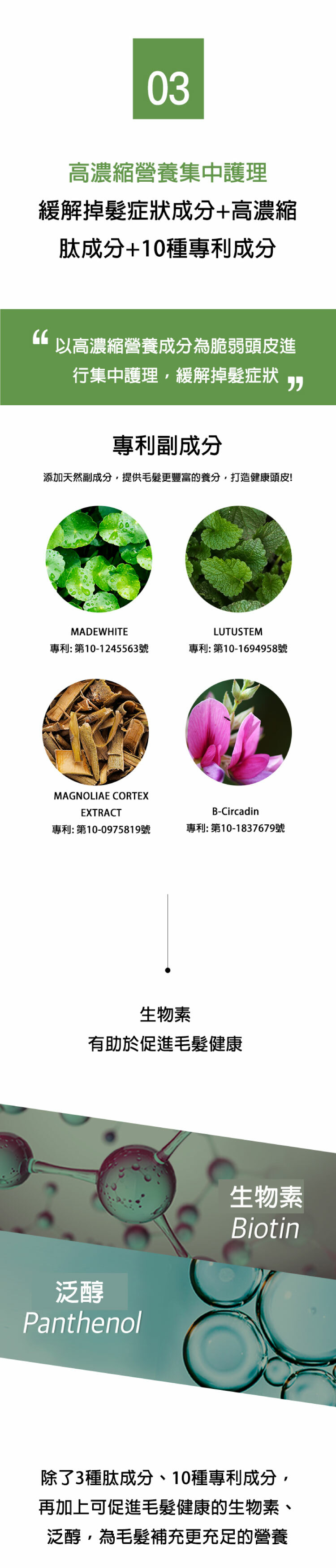 Vivelab頭皮&眉毛精華液