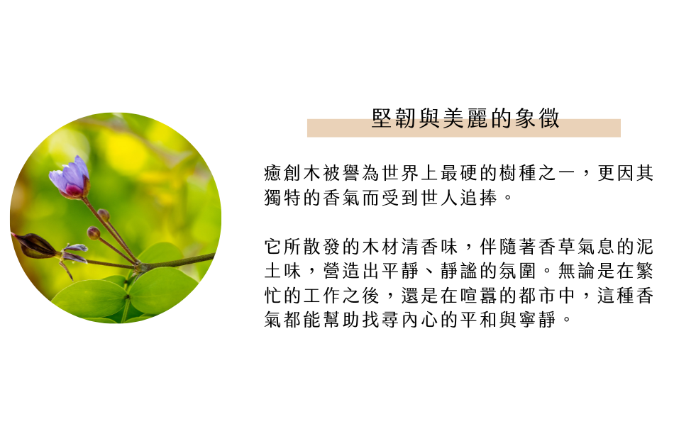 堅韌與美麗的象徵