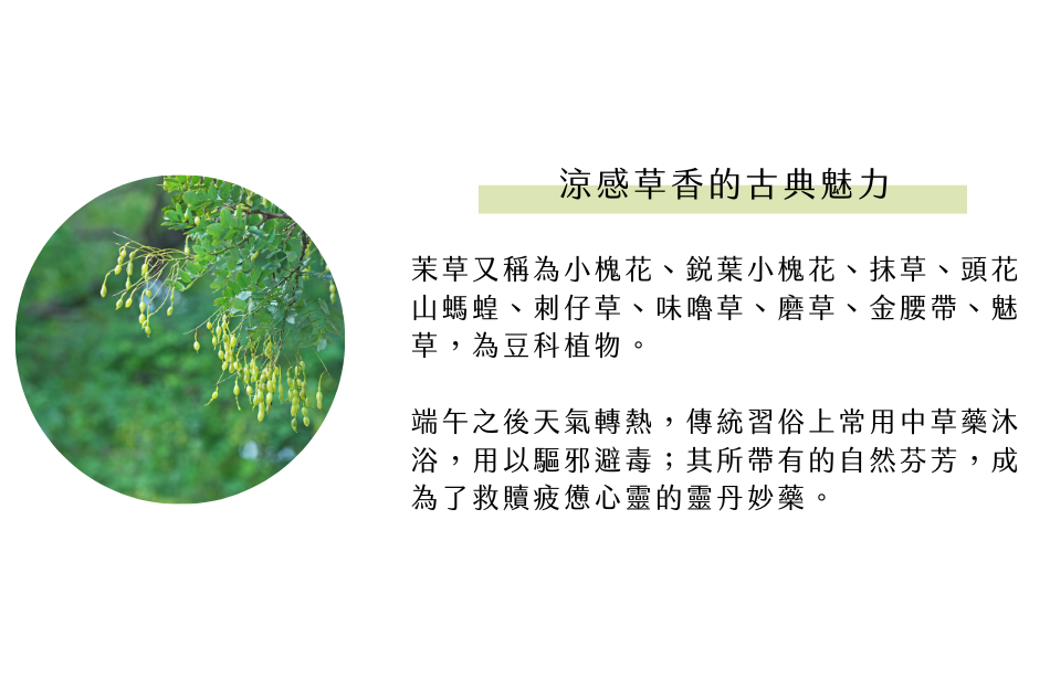 涼感草香的古典魅力