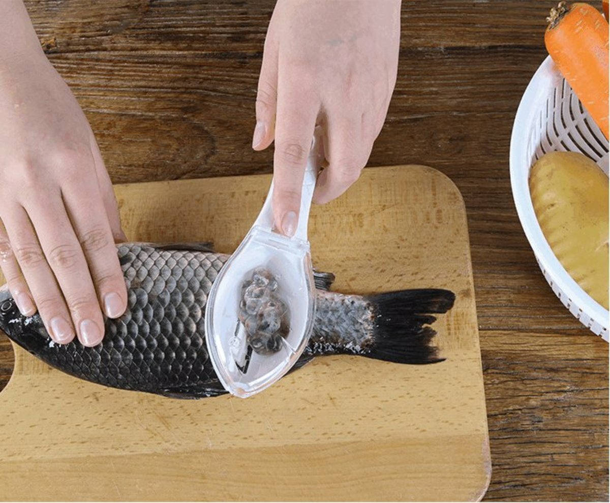 (HOME)Clamshell Fish Scale Remover (White)