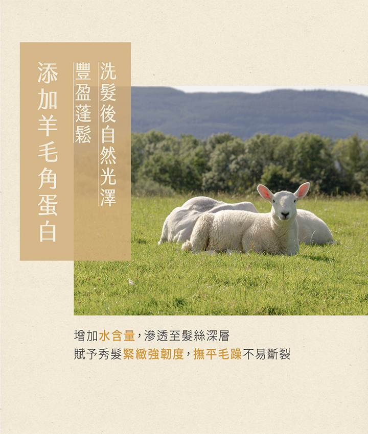 雅鄔樂海藻洗髮精角蛋白