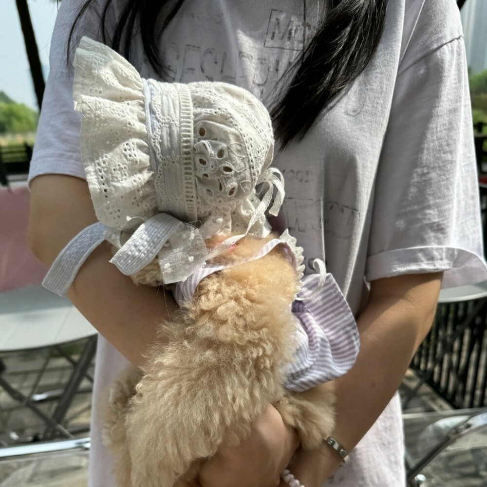 COZY-N 蕾絲寶寶帽