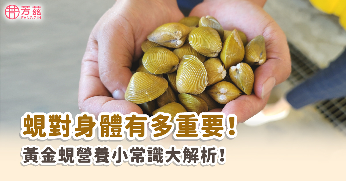 保健飲品「蜆精」，解救了許多需要提振精神和體力的族群，本篇將告訴你蜆有哪些營養素？！還有哪些族群適合補充呢？！