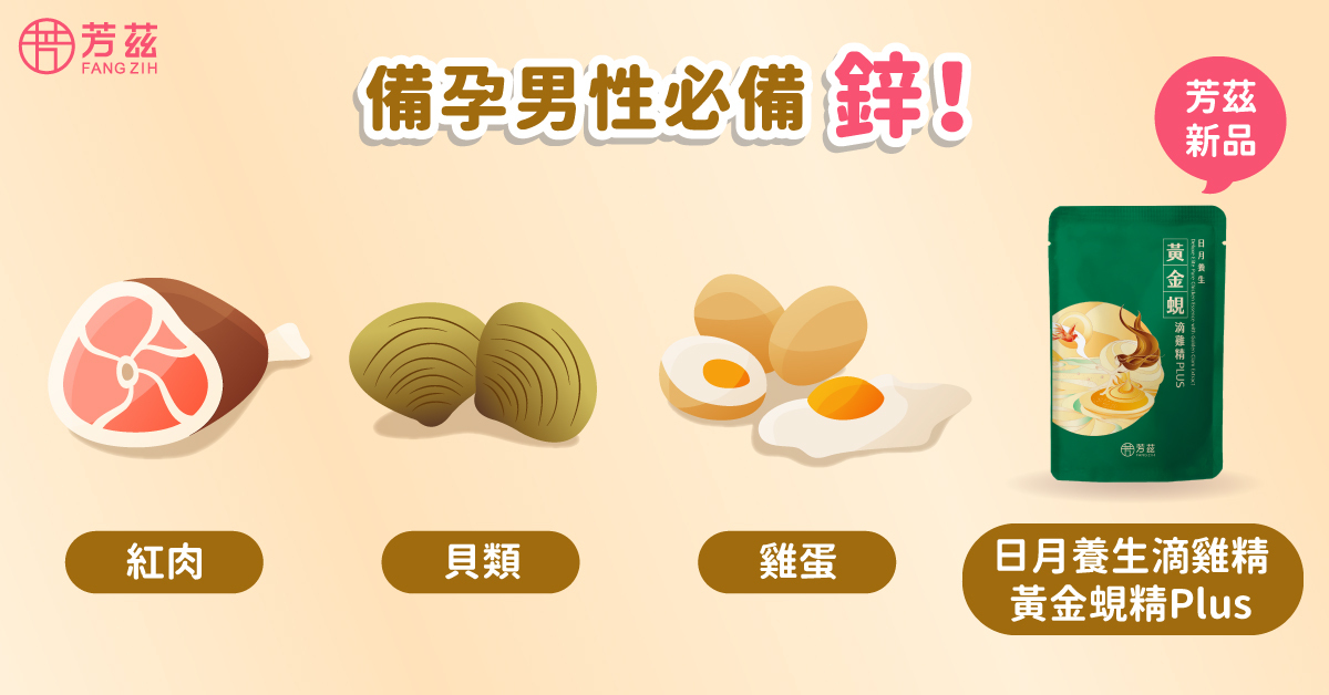 蜆的重要營養素2-鋅(備孕男性必備)