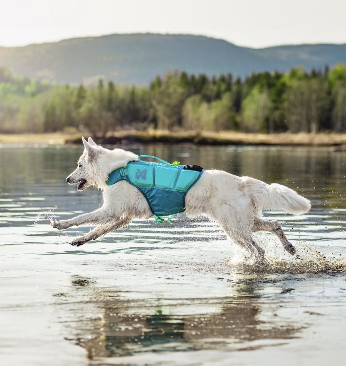 【Non-stop dogwear】PROTECTOR浮水救生衣(湖水綠）