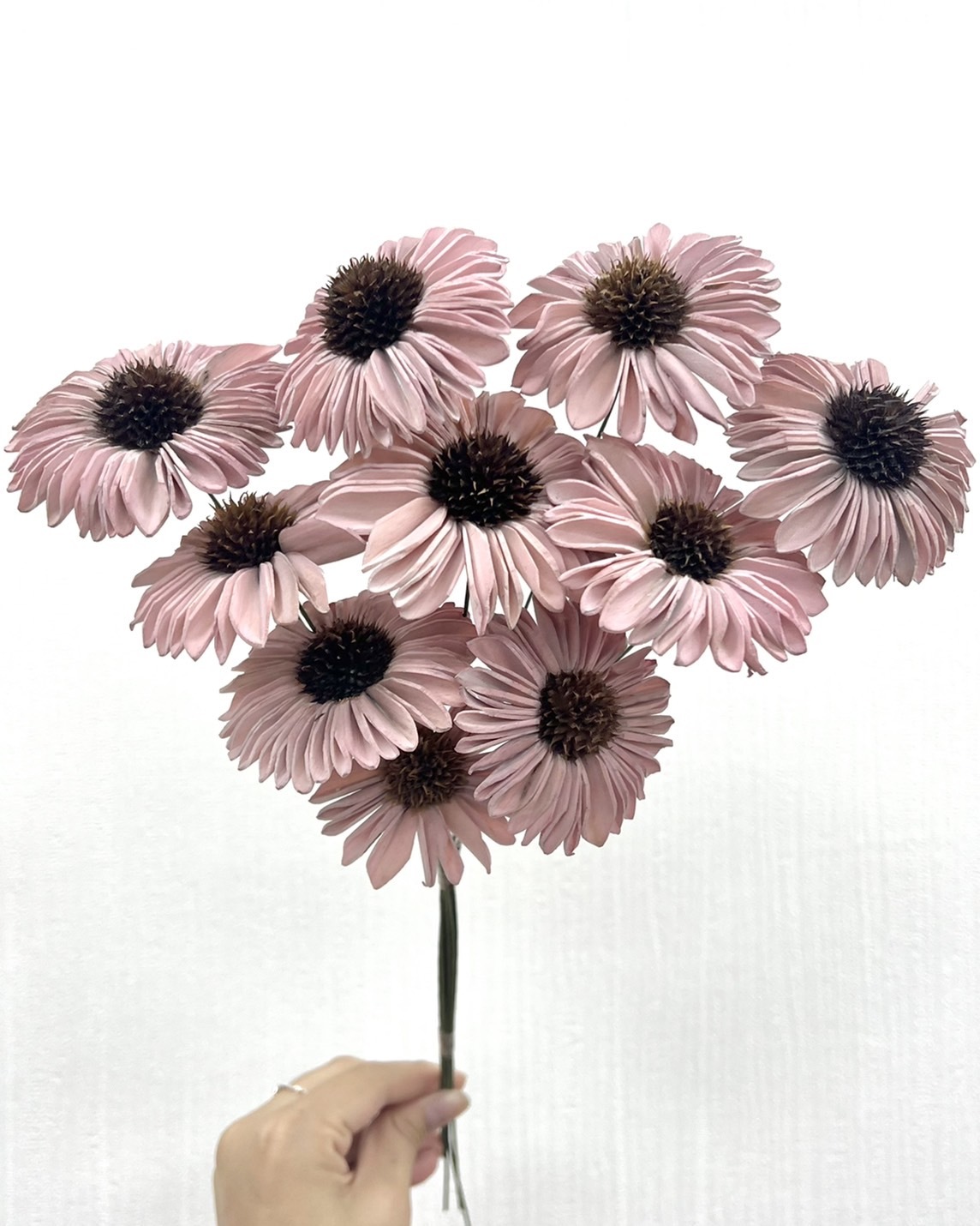 印度索拉太陽花-489U