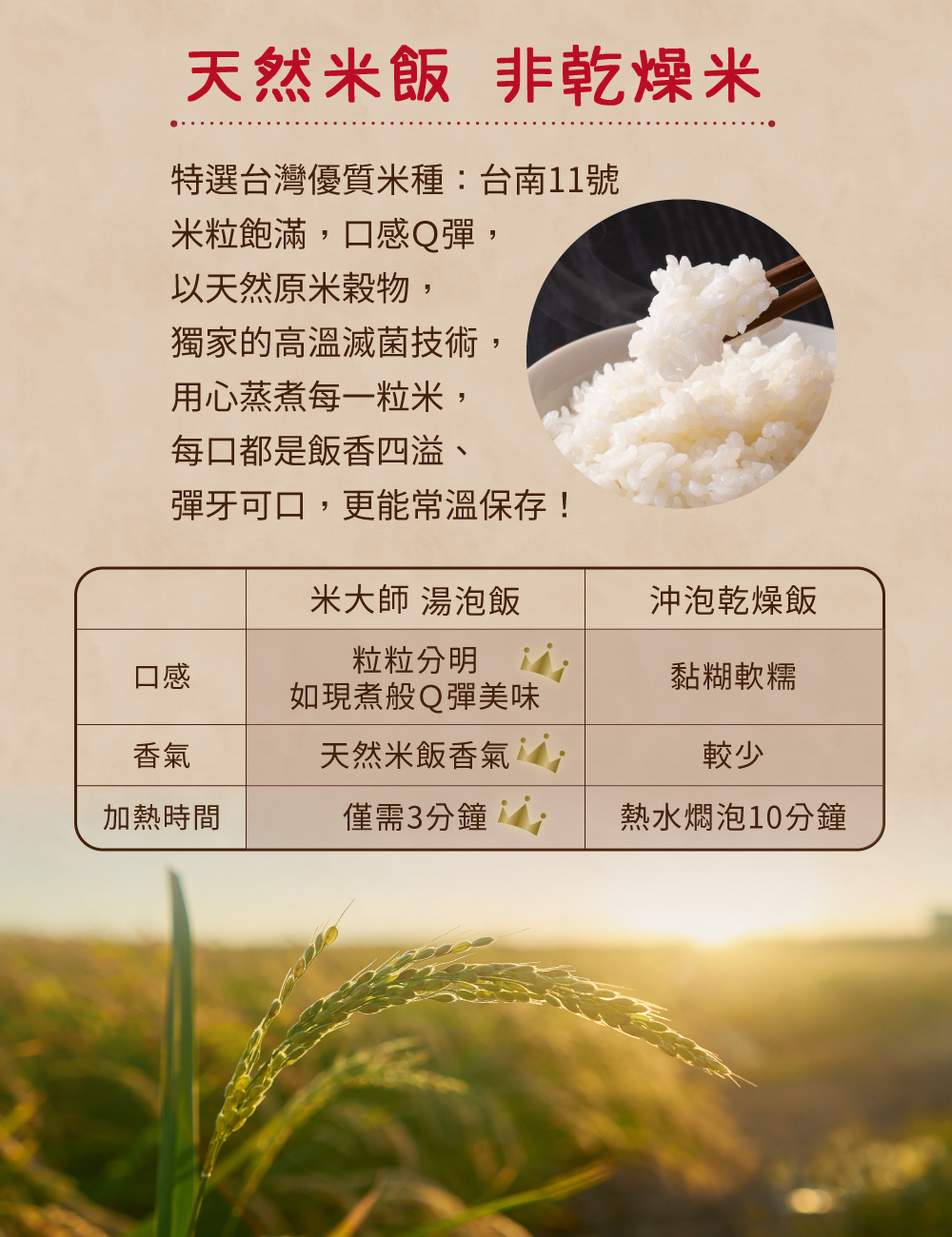 番茄羅宋湯泡飯即食粥