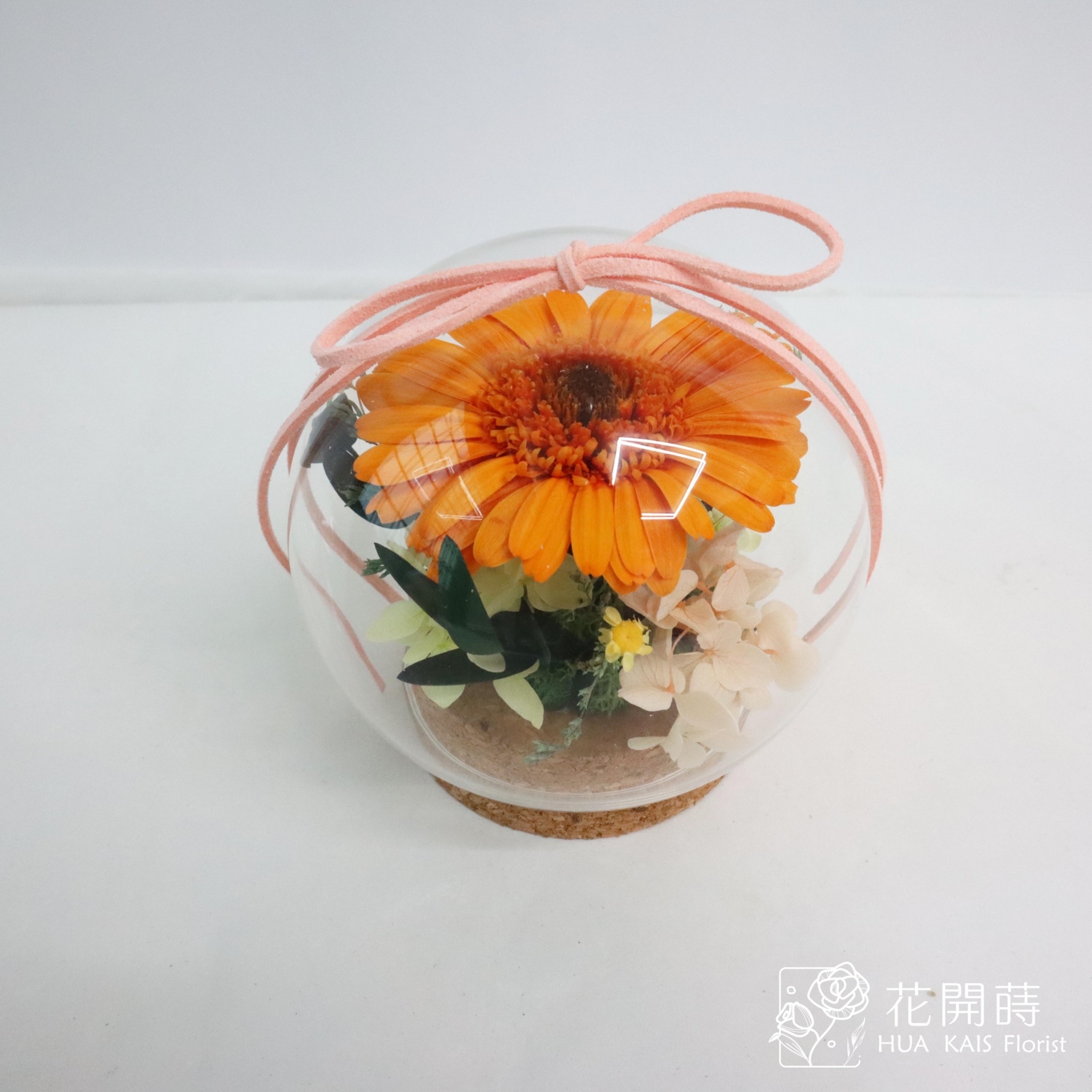 永生花玻璃罩|經典橙非洲菊永生花鐘|畢業禮物|經典橙色|情人節禮物|生日禮物|謝師禮物