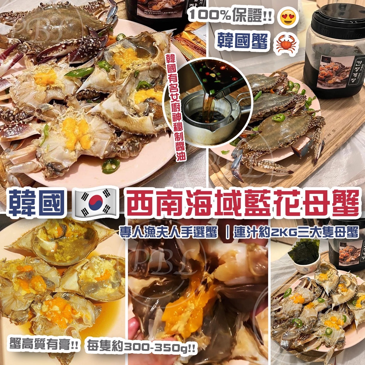 韓國西南海域延坪島藍花母蟹S級