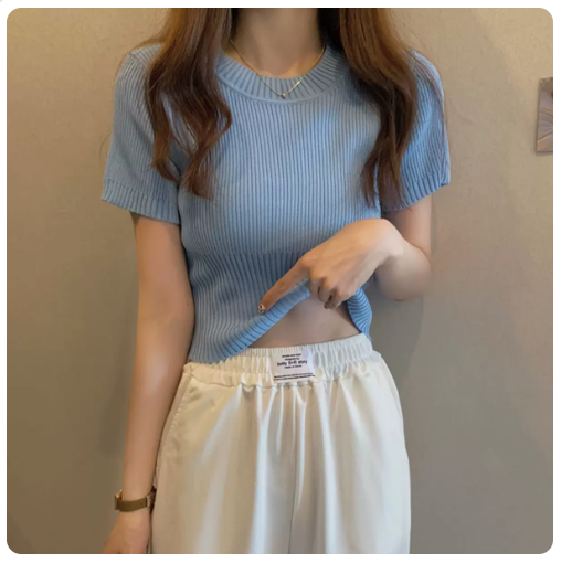 Knitted Crew Neck Short Sleeve T-Shirt Top (Blue) (One Size)