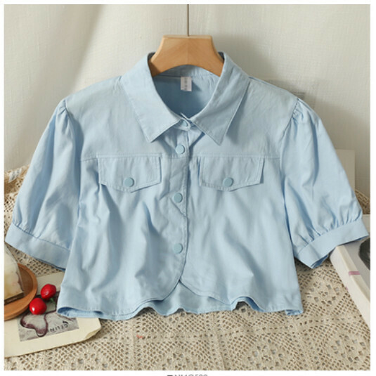 Single-breasted Shirt with Rollover Shirt (Blue) (One Size)