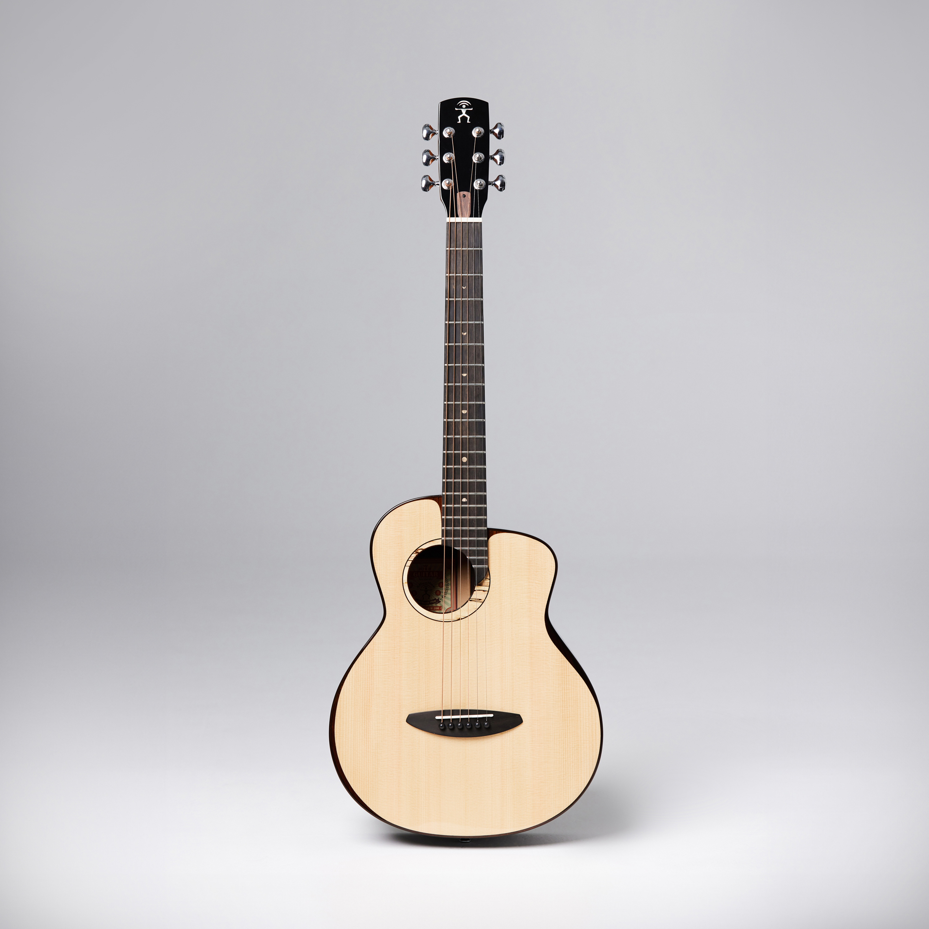ギター aNueNue aNN-M200 BirdGuitar aNueNue aNN-M200 Demo by Seiji Igusa 井草聖二 - YouTube