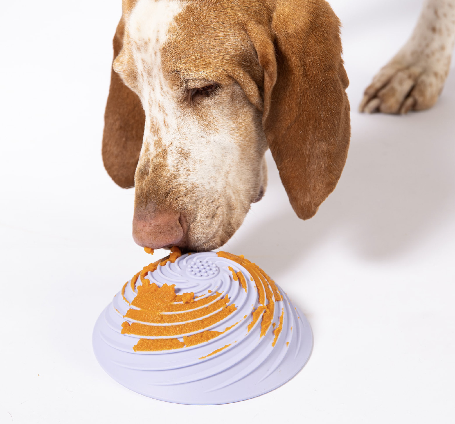 食品級矽膠寵物慢食碗