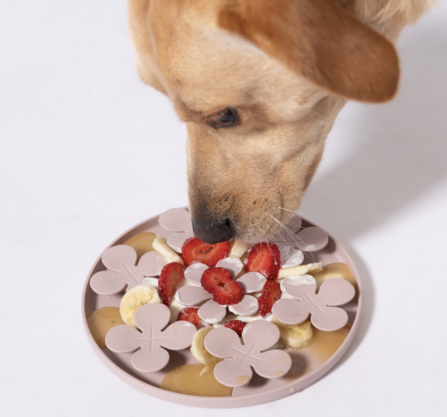 花花造型紋路的狗狗舔食墊可搭配各種狗狗食品