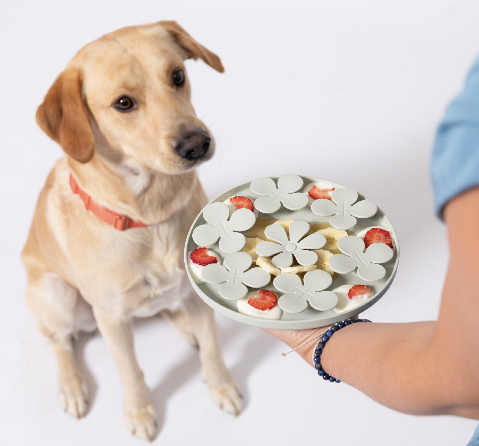 可以將舔食墊固定在地面或牆面上，不同角度可供寵物慢食舔食訓練使用