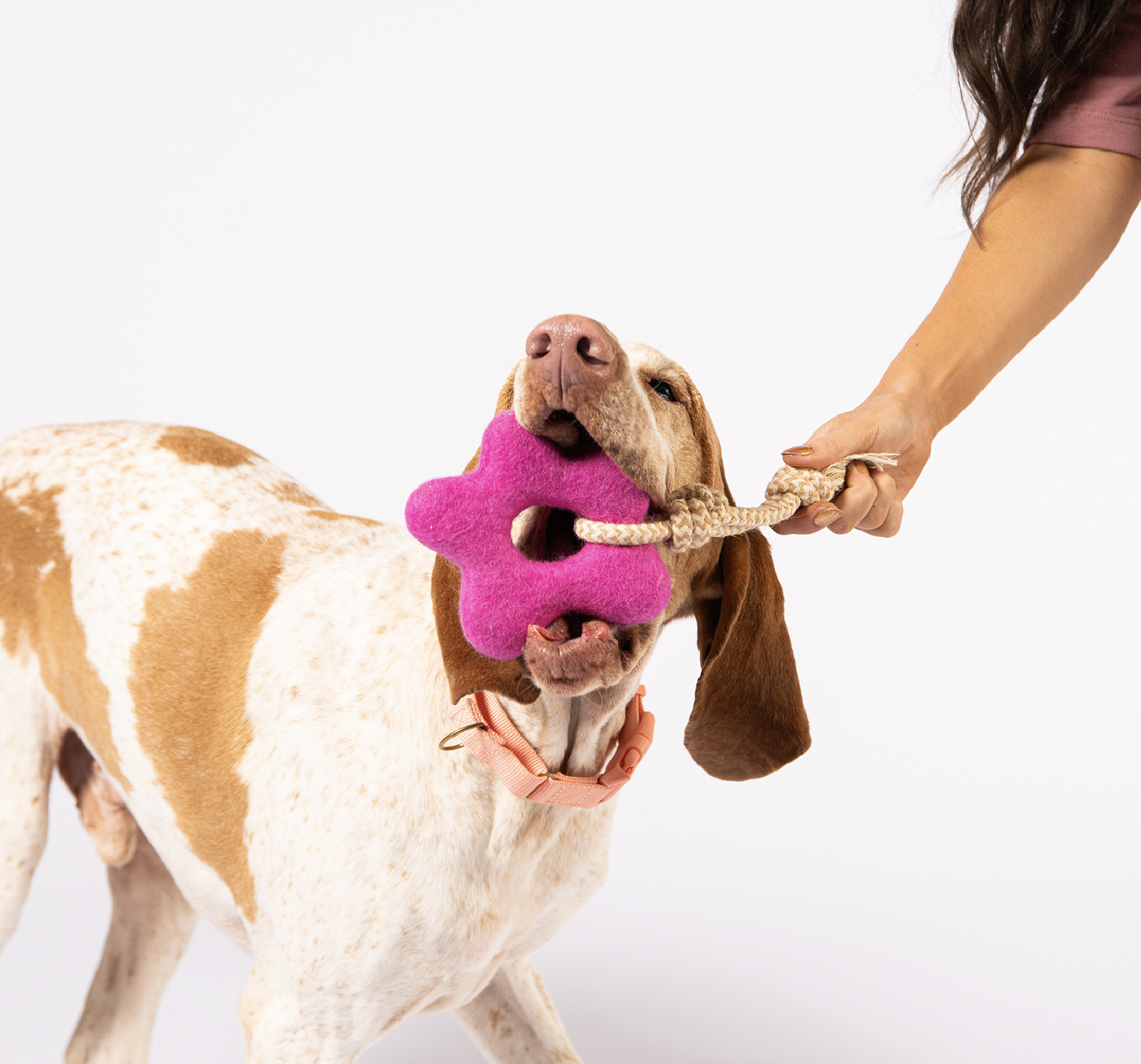 拉力繩羊毛氈拉扯玩具推薦