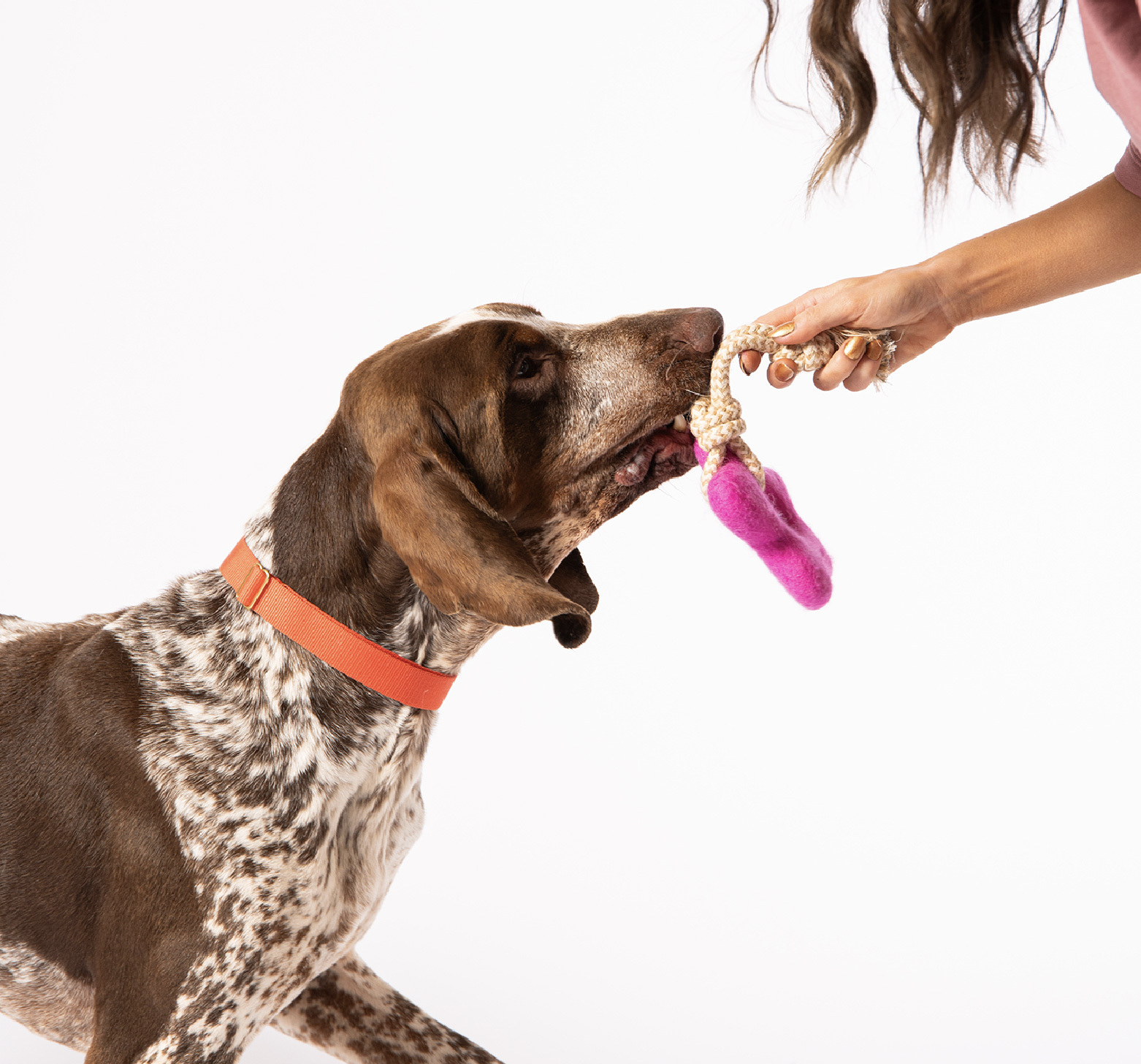 拉力繩狗狗羊毛氈玩具推薦