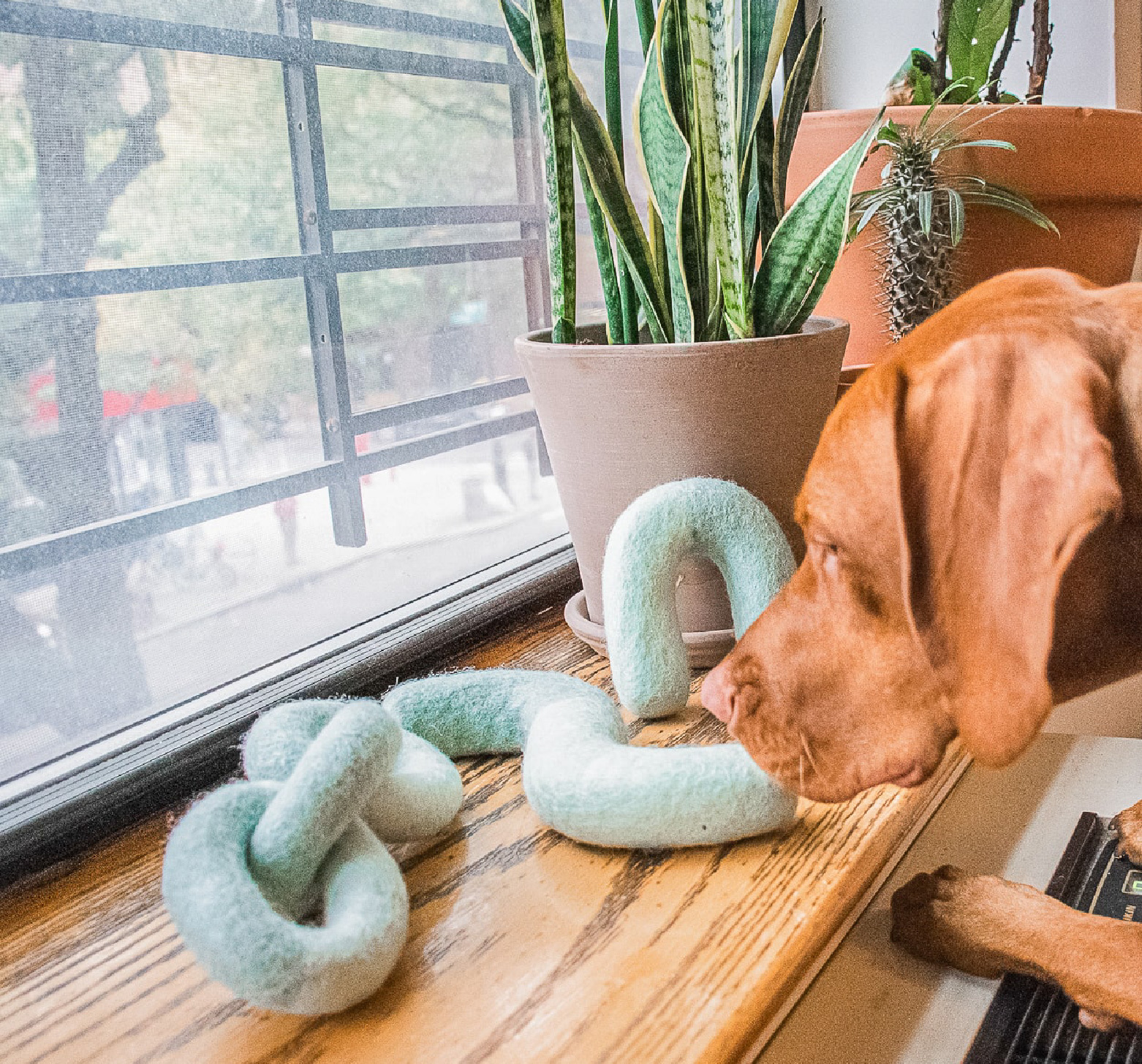 寵物羊毛氈大型犬玩具