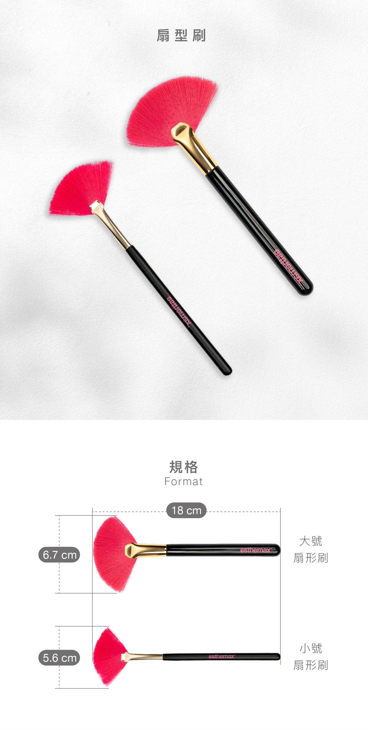 扇形刷 規格 大號:18 x 6.7cm 小號:18 x 5.6cm