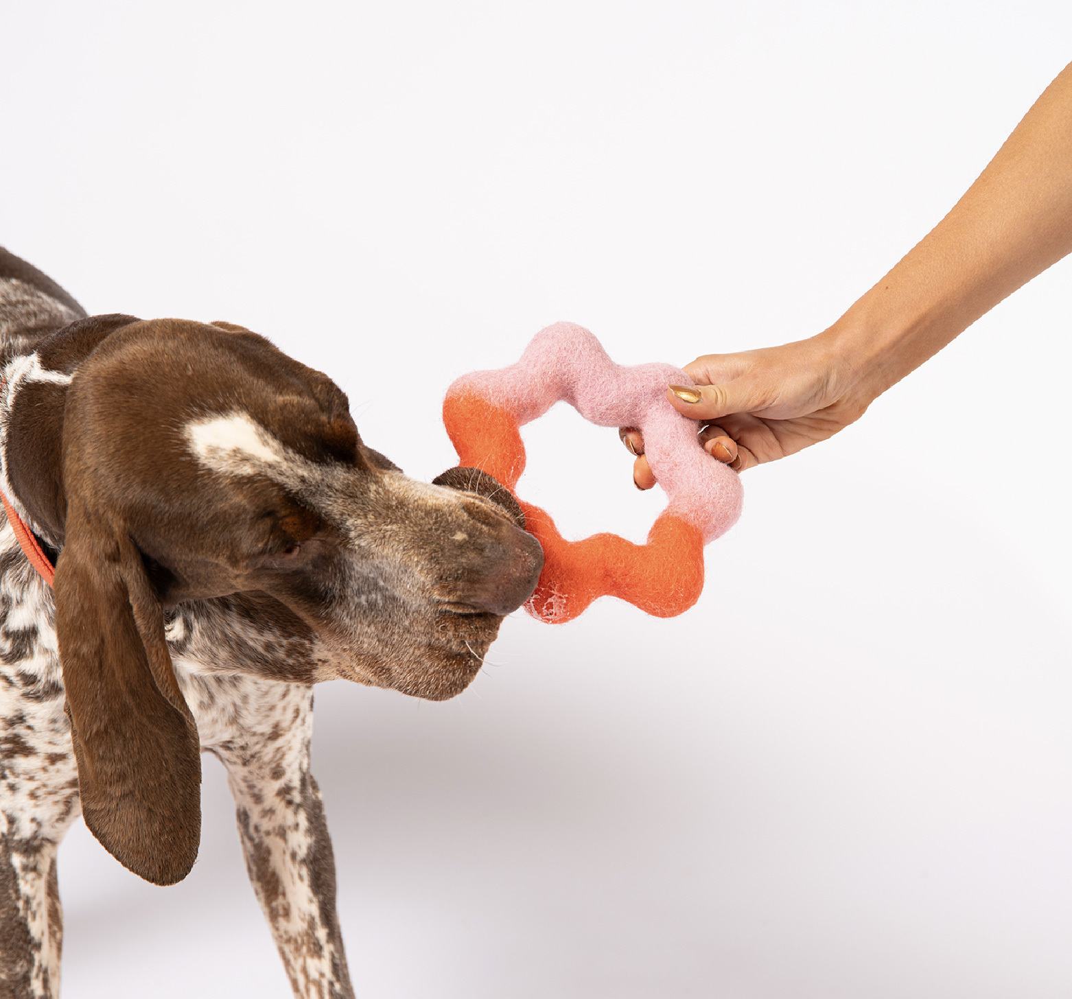 狗狗玩具耐咬推薦