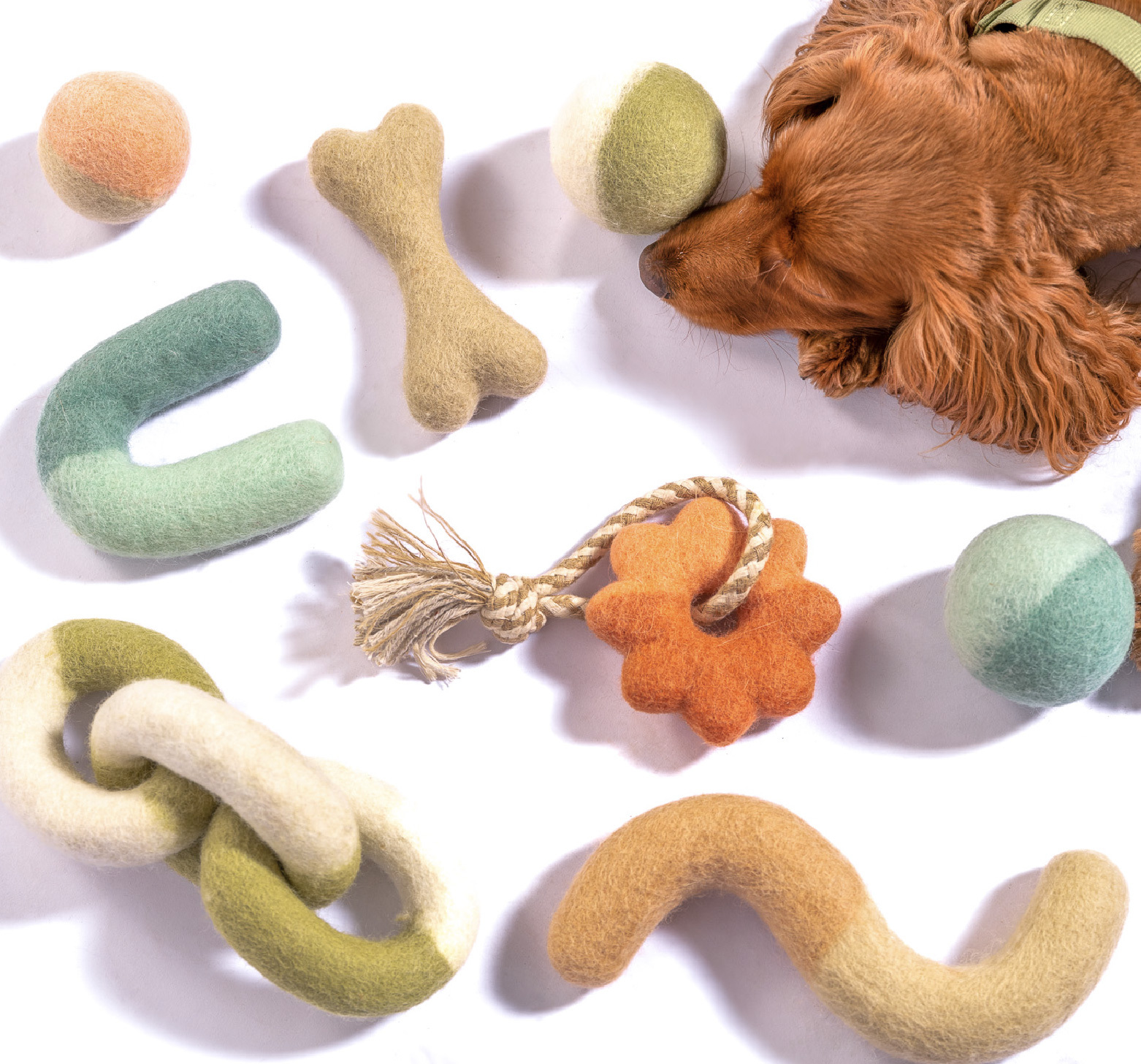 嗅聞狗狗羊毛氈玩具推薦