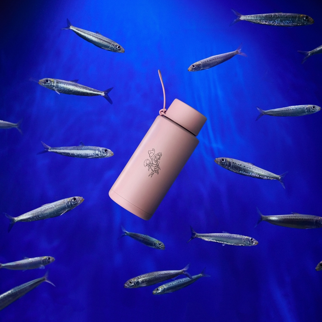 Disney Ceramic Reusable Bottle - Sebastian - 34oz / 1,000ml | FRANK GREEN