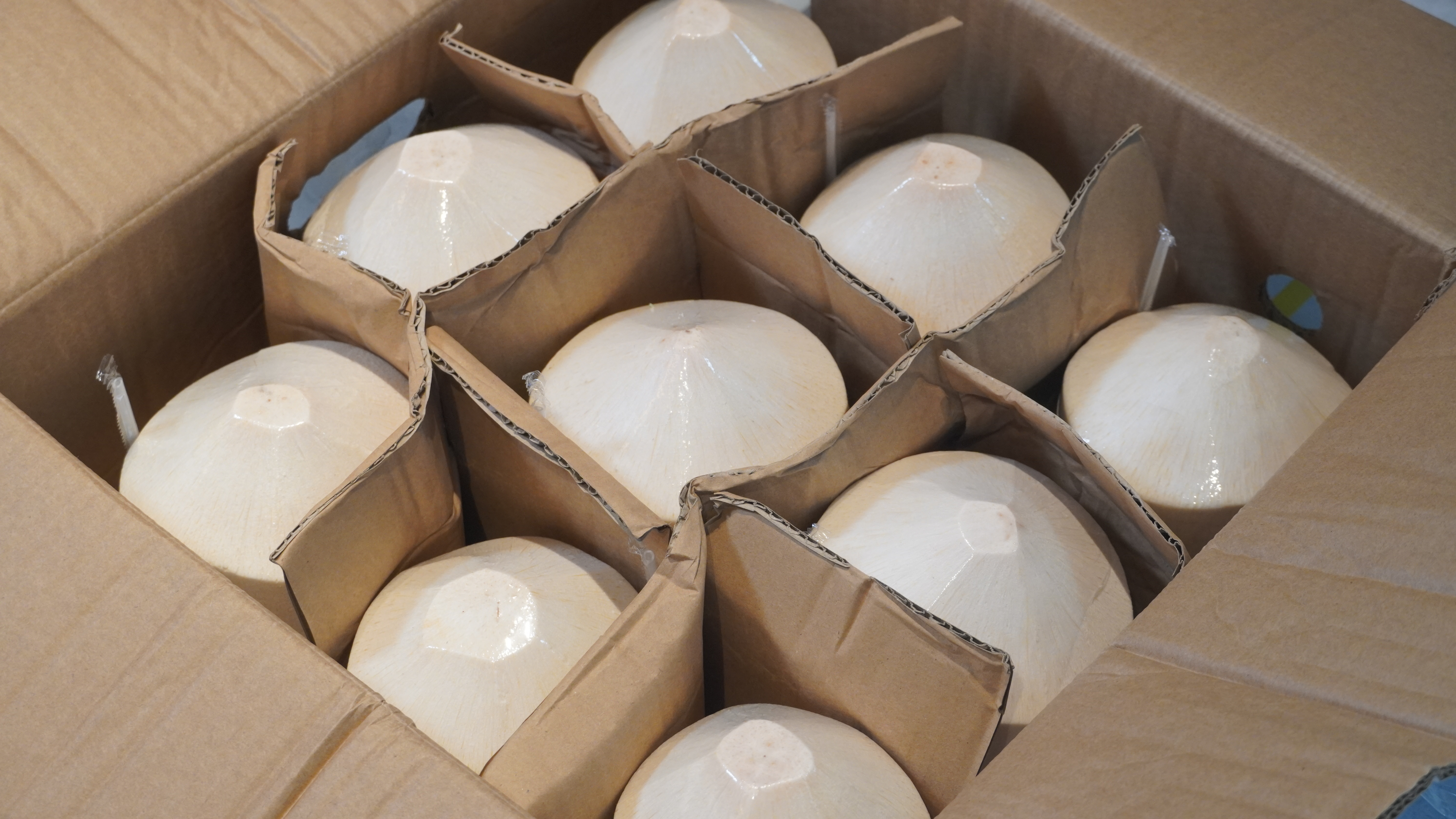 【清涼解渴】100%純正椰汁-可可椰子(含運/需冷藏)