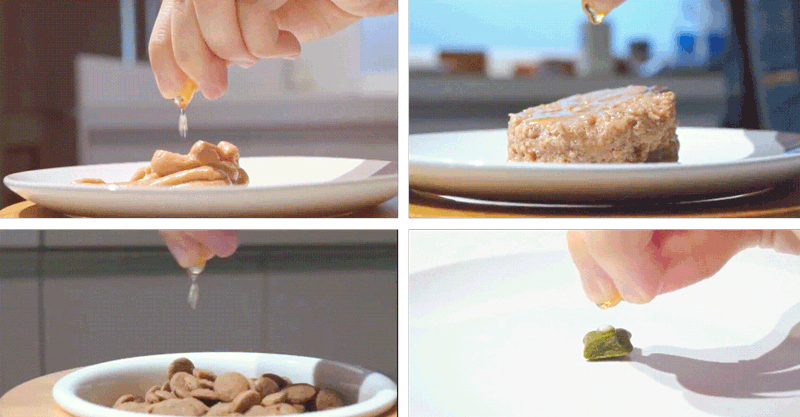 怎麼吃毛孩接受度都高