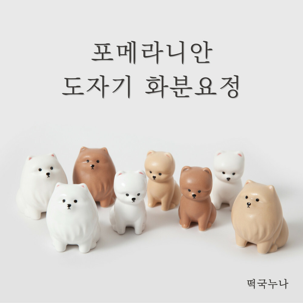 Tteokguknuna 博美花園小仙子