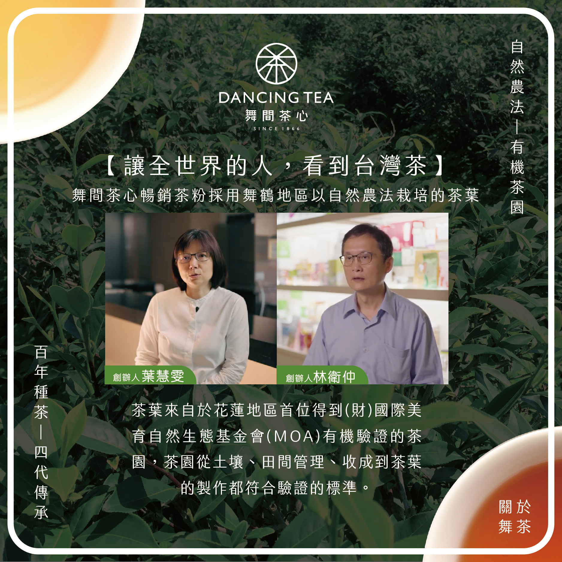 舞間茶心普洱茶粉1公斤