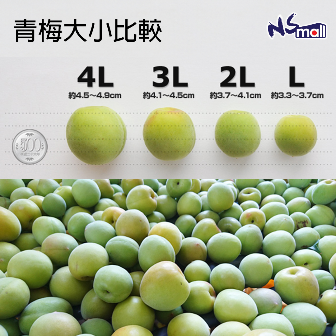 和歌山南高梅 3L 1kg/ 3kg/ 5kg/ 原箱10kg
