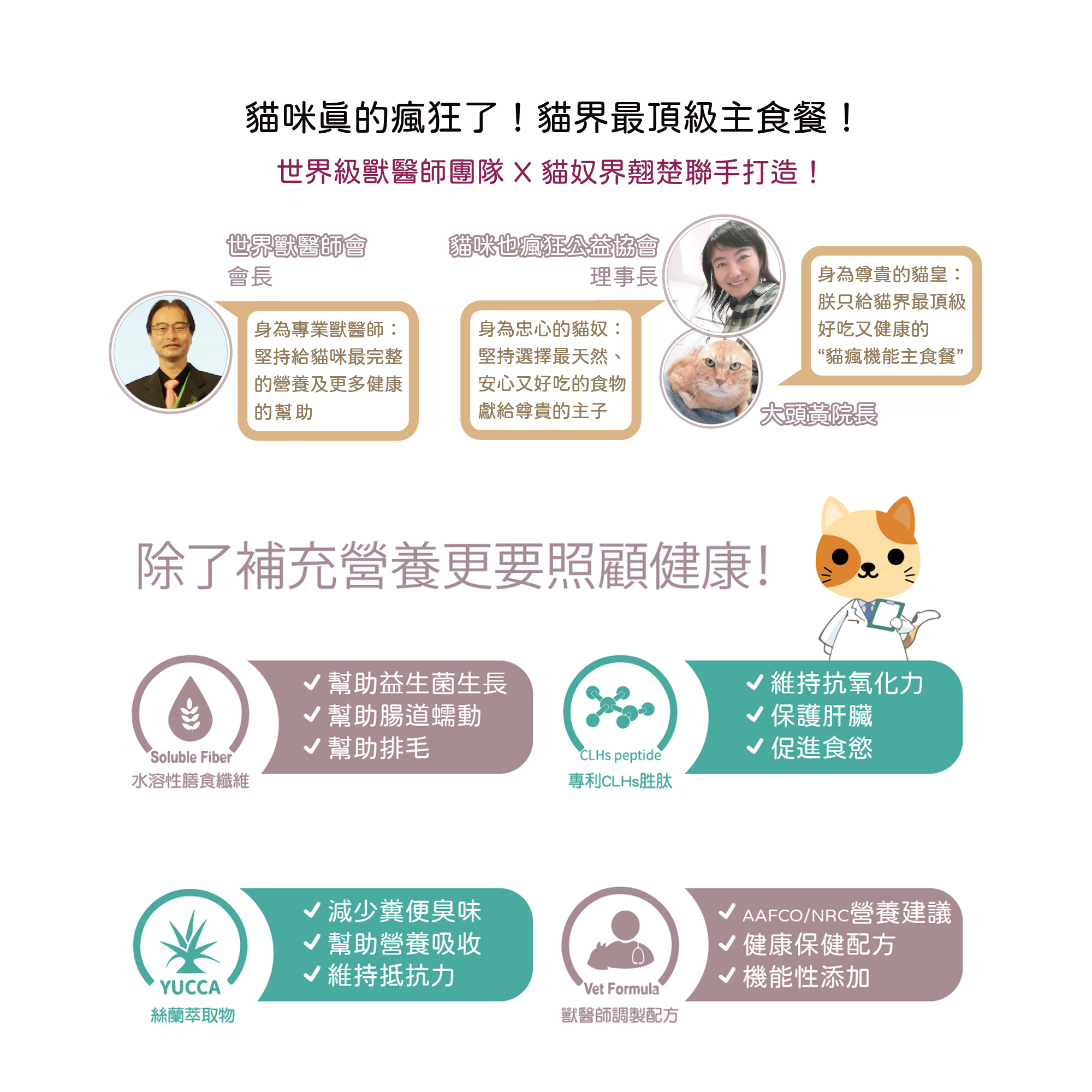 【貓咪也瘋狂】24入 ｜新春特惠＄𝟭𝟱𝟴𝟴