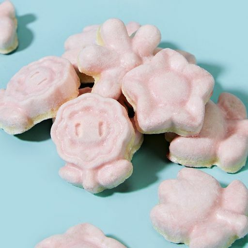 凍干益生菌鳳梨莓莓210G (15GX14)