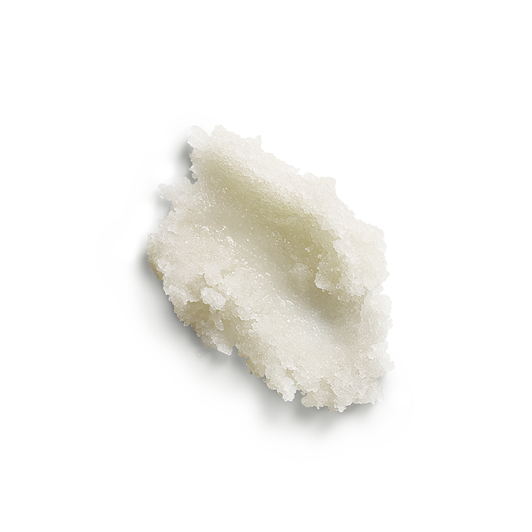 SABON經典身體磨砂膏600g