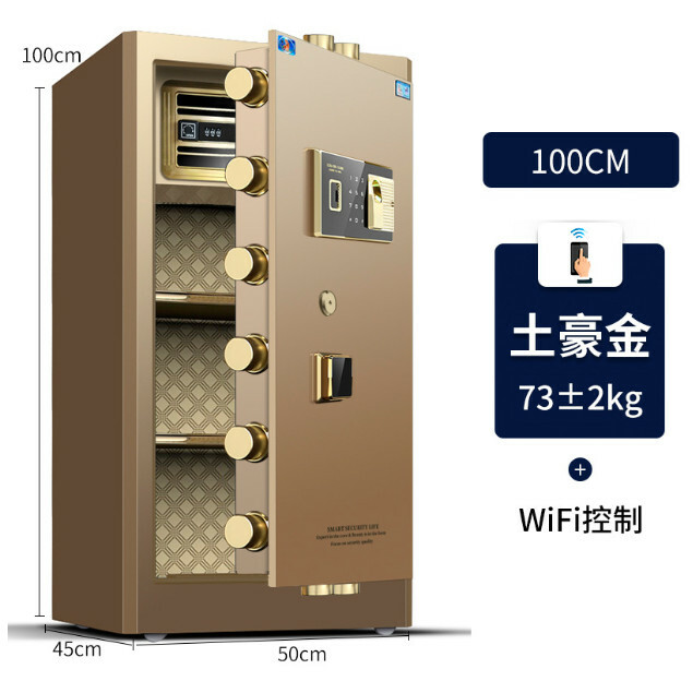 Hot-recommended clip-on expert [Tiger clip-on] 100 type-wifi model-gold