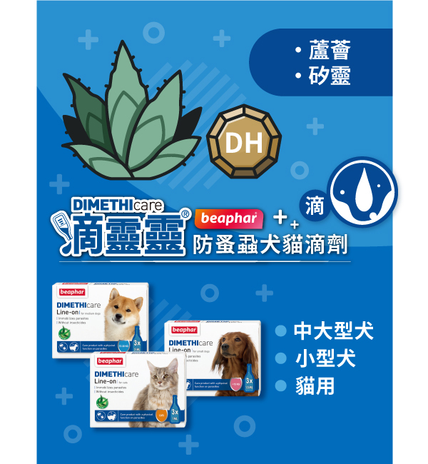 防蚤蝨犬貓滴劑｜滴靈靈 Dimethicare
