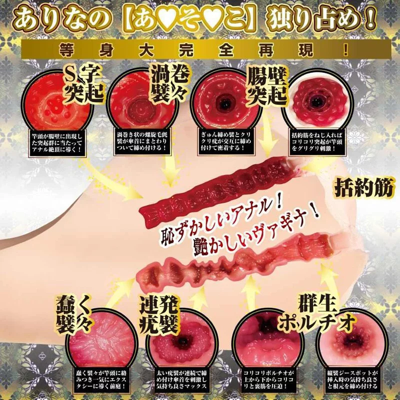 NPG 四代目 真性 極上生腰 橋本有菜 (橋本ありな)