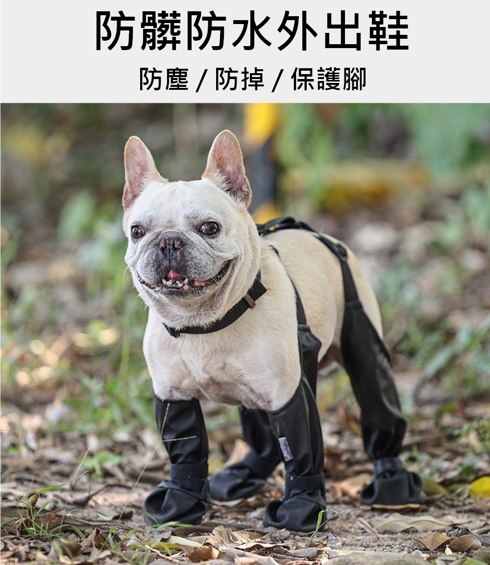 寵物防髒防水外出鞋