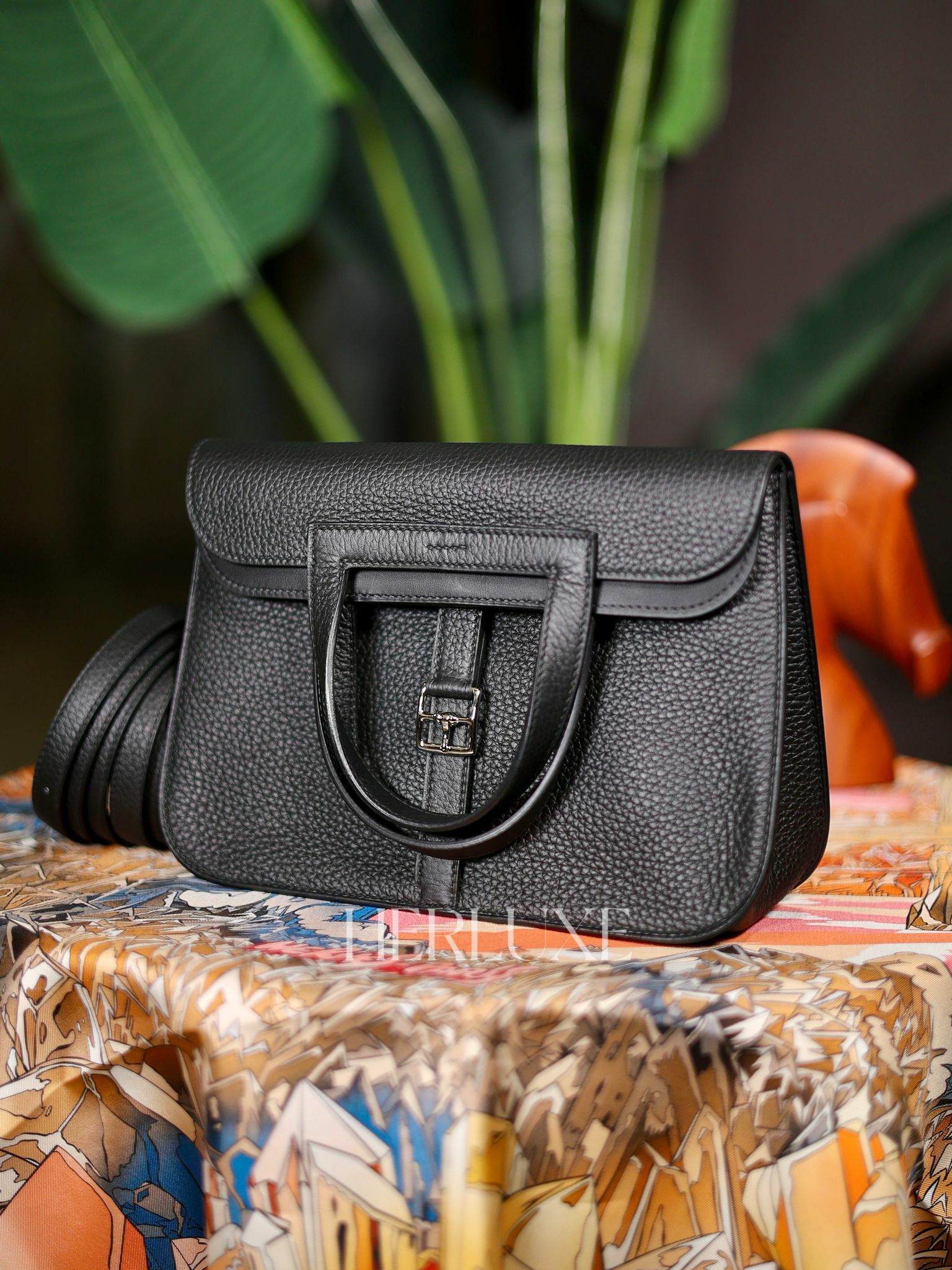 Halzan 25 89 noir ck tc