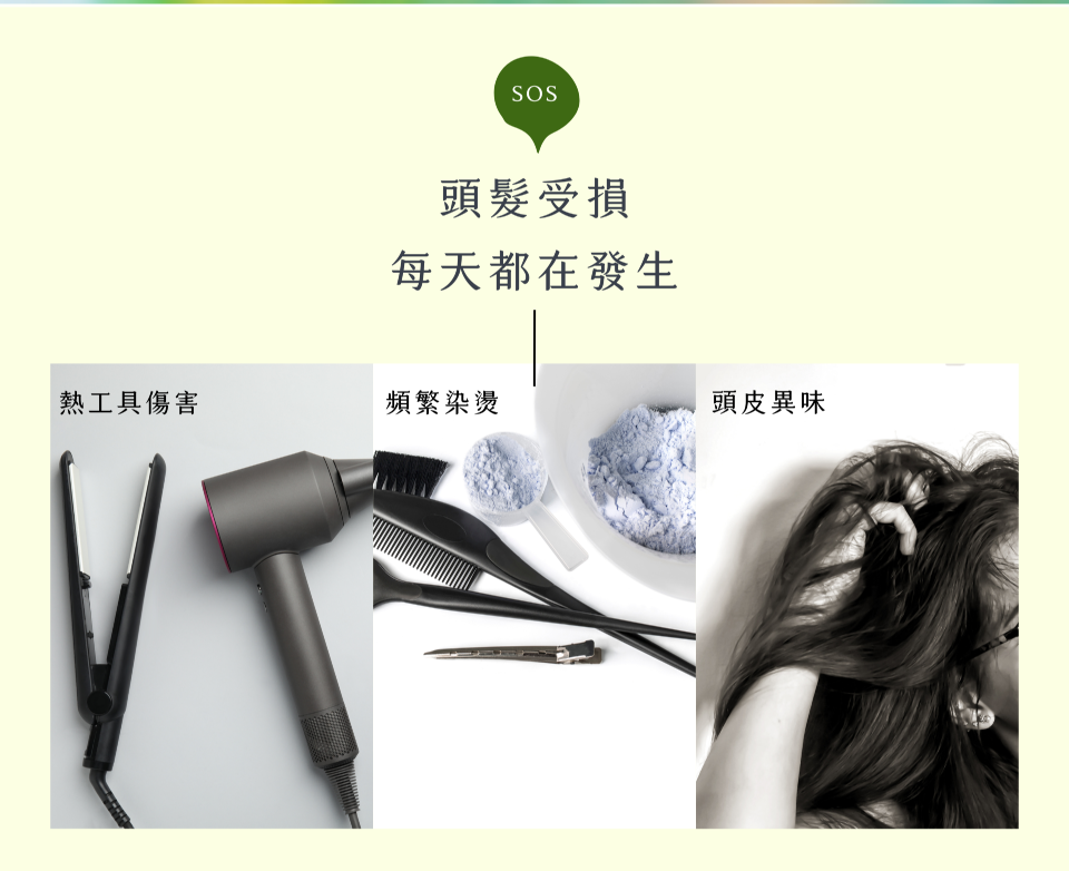 頭髮受損 每天都在發生