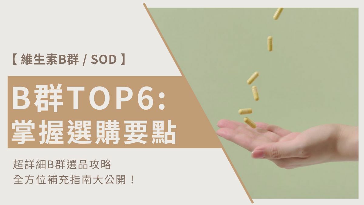 B群推薦Top6：3分鐘掌握選購要點