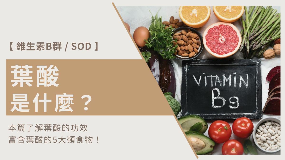 了解葉酸功效及富含葉酸的5大類食物