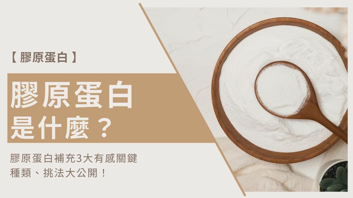 膠原蛋白是什麼