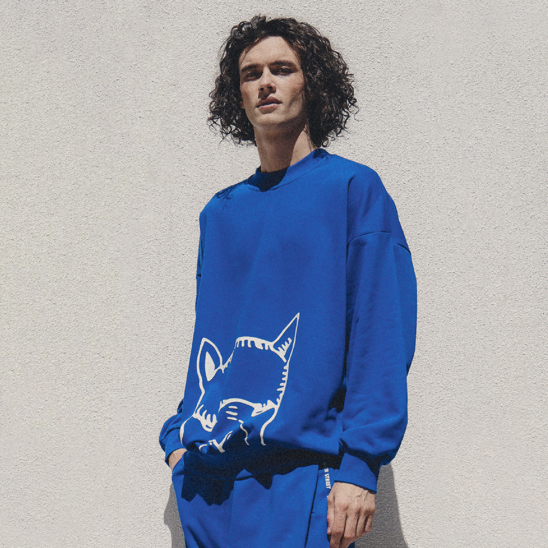 Hidden Alpaca 躲貓貓羊駝運動大學T