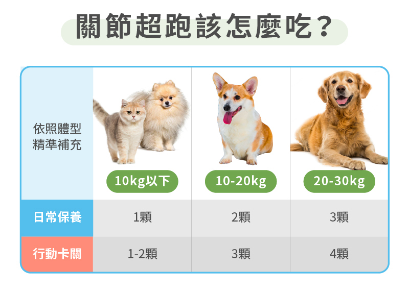 關節超跑該怎麼吃