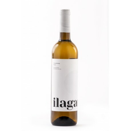 Ilagares Blanco – D.O. Navarra - Bodegas San Martín- White Wine 750mL